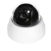 QIP-10210-DO IP Camera Qpix